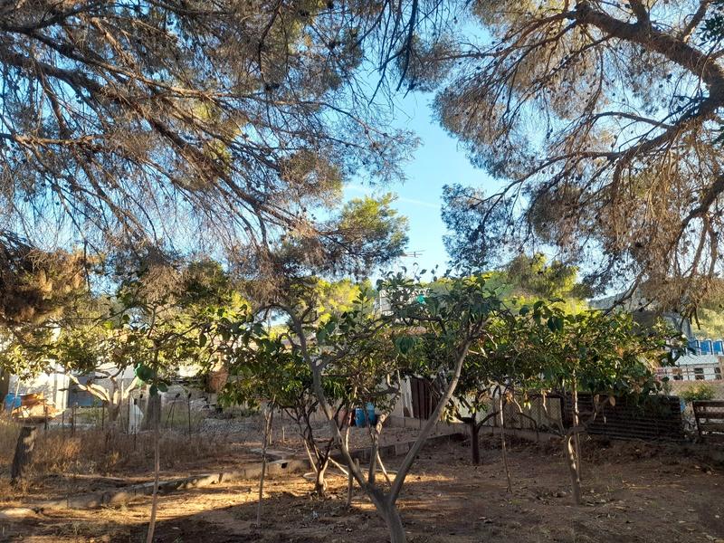 Foto b172f654-d093-468c-b767-f409aae31a6e. Masía casa independiente con piscina o en Doctor Palos - Alto Palancia Sagunt