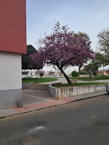 Foto 3b343429-59a0-4f0e-8d6f-dfc6b9f89e11. Location maison dans San Jose de la Rinconada