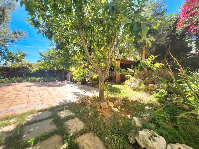 Foto 0784fc51-901e-4fd7-9895-1762de47278f. Casa impresionante casa con jardin y 5 dormitorios en Rubí
