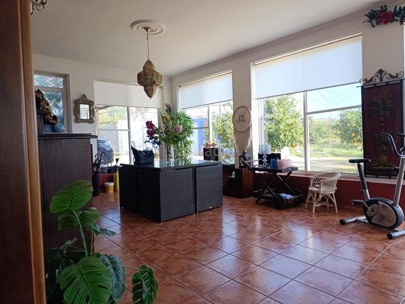 Foto 4b1e8f0c-752d-4fbe-9381-9b99f98ab191. Chalet increíble chalet en lora del rio totalmente reformado con piscina y olivar en Lora del Río