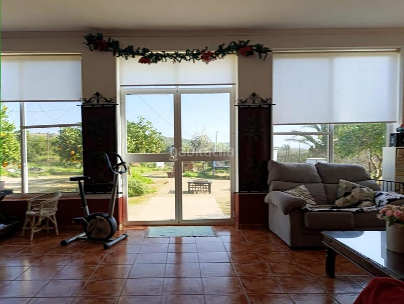 Foto 771a66b6-6bc2-44d6-87b2-0261f0373438. Chalet increíble chalet en lora del rio totalmente reformado con piscina y olivar en Lora del Río