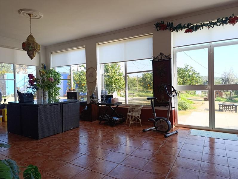 Foto e6f1644c-c17b-46a5-9fc5-526cbc481e2a. Chalet increíble chalet en lora del rio totalmente reformado con piscina y olivar en Lora del Río