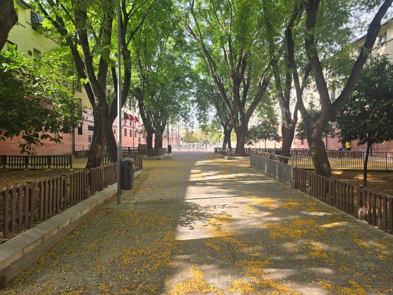 Foto b6dac6b6-18f0-48f2-bbe7-a81f974659cc. Pis a El Cerro Sevilla