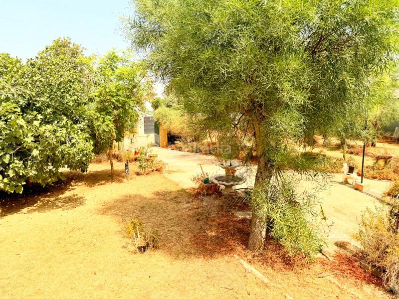 Foto 0bff5e4e-673e-483d-9507-78f2297a5365. Casa chalet con doble vivienda, buhardilla, gran parcela y piscina en urbanización torrepalma en Carmona