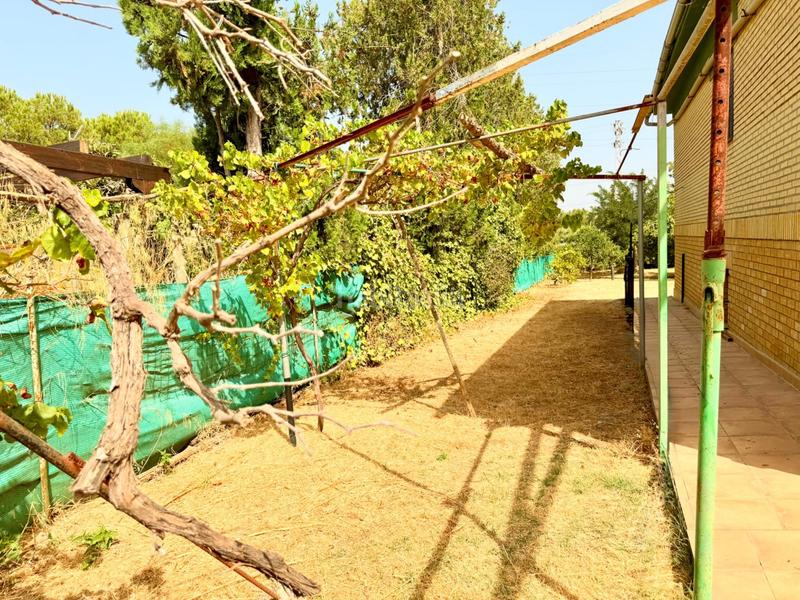 Foto 3dfe9d8e-1435-443f-8152-25e100fef541. Casa chalet con doble vivienda, buhardilla, gran parcela y piscina en urbanización torrepalma en Carmona