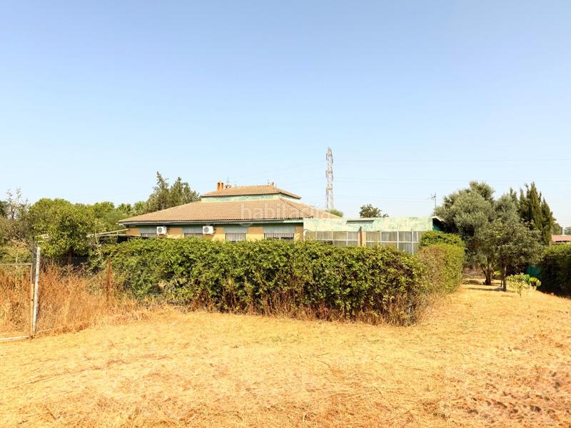 Foto 50737040-5fcb-4d2f-ba77-fa797ea8a51c. Casa chalet con doble vivienda, buhardilla, gran parcela y piscina en urbanización torrepalma en Carmona