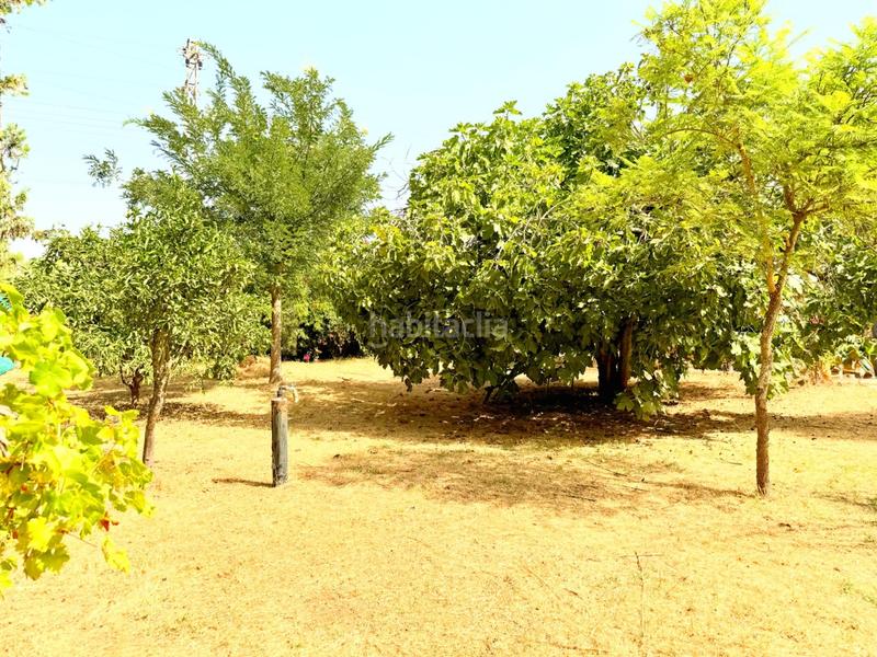 Foto 997c05bc-ced3-4724-a824-b014e0574825. Casa con riscaldamento parcheggio piscina in Carmona