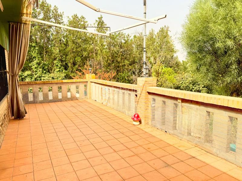 Foto ba7e8708-acdb-43b4-b806-b7eeed78c1f1. Casa chalet con doble vivienda, buhardilla, gran parcela y piscina en urbanización torrepalma en Carmona