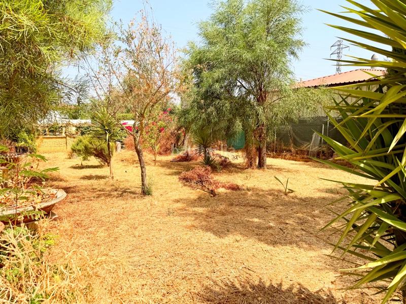 Foto c0413ac5-39e4-49bd-83ef-e7cc709672a3. Casa chalet con doble vivienda, buhardilla, gran parcela y piscina en urbanización torrepalma en Carmona