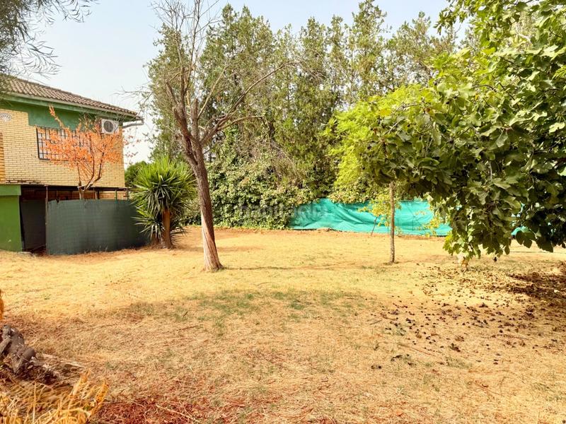 Foto cb5bca51-22f4-4dc6-b331-9ed2d5dd923d. Casa chalet con doble vivienda, buhardilla, gran parcela y piscina en urbanización torrepalma en Carmona