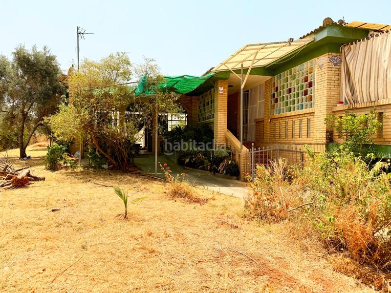 Foto eef4724f-1218-4c1e-87cf-3fd2d9b77edc. Casa chalet con doble vivienda, buhardilla, gran parcela y piscina en urbanización torrepalma en Carmona