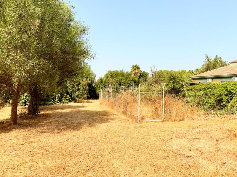 Foto f1750672-0c5e-4ab5-a870-0a781a5f82ca. Casa chalet con doble vivienda, buhardilla, gran parcela y piscina en urbanización torrepalma en Carmona