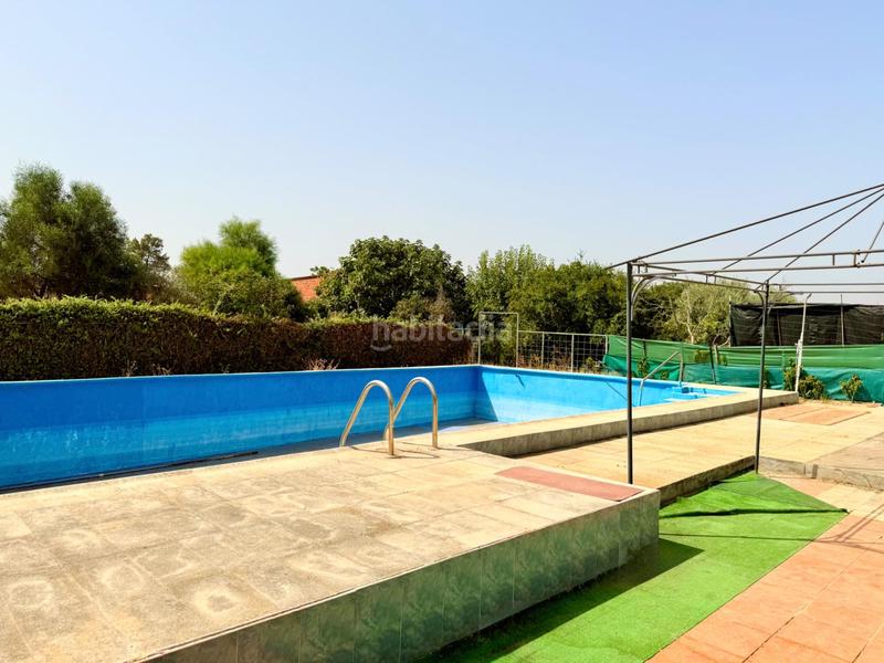 Foto f97374b9-0ce0-43ed-a4ba-0fd12384b116. Casa chalet con doble vivienda, buhardilla, gran parcela y piscina en urbanización torrepalma en Carmona