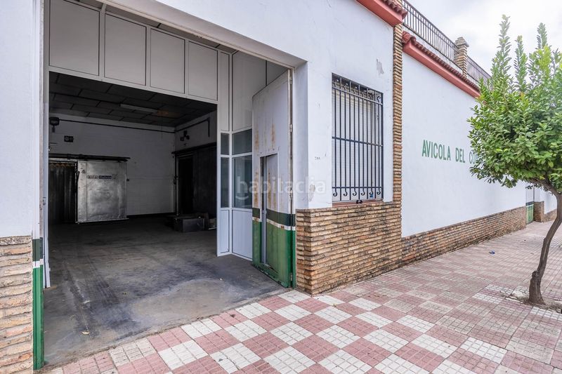 Foto 4abf3a05-617b-47aa-8518-ad81bae142bd. Industrial building in Bollullos Par del Condado