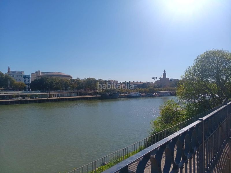 Foto 381247c0-7a7e-4ab8-810e-d315f2d14447. Pis a Triana Este Sevilla