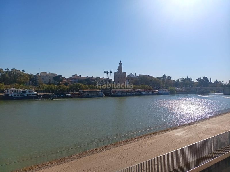 Foto af134699-f8bb-44cf-a8a9-f50a6658fe60. Pis a Triana Este Sevilla