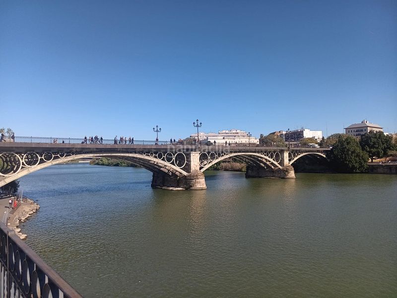 Foto c933db73-f7c5-484a-b8ac-2cc7141df593. Pis a Triana Este Sevilla