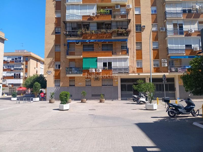 Foto 5d29759c-6eb1-49cf-9cac-ff6bdc0ef316. Pis a El Torrejón - El Cerezo Sevilla
