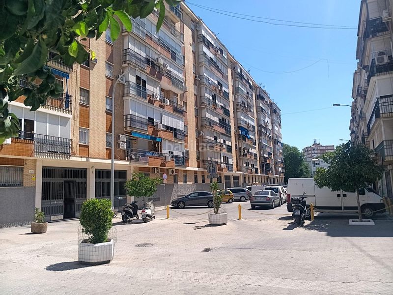 Foto c3f90cfc-9f13-40f4-bc3b-fa3ef30fbca8. Pis a El Torrejón - El Cerezo Sevilla
