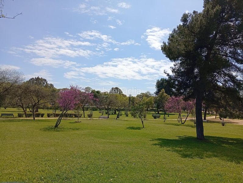 Foto 4c11c586-0698-42f6-87a4-38d0dda8087b. Rent flat in Juan XXIII - Rochelambert Sevilla