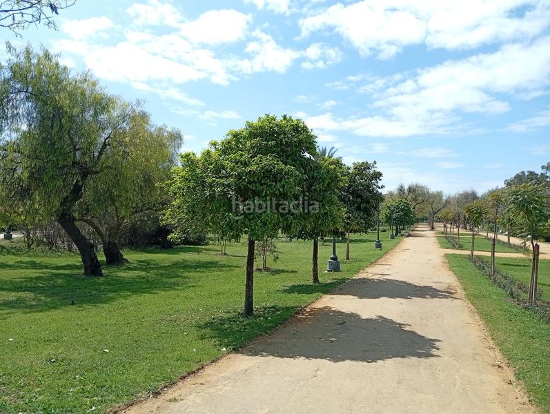 Foto c6eb45a2-66fc-45ce-8d3a-c5b82cdd0fee. Rent flat in Juan XXIII - Rochelambert Sevilla
