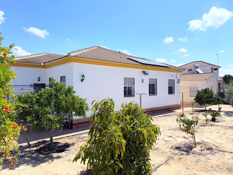 Foto 854ef344-5747-4924-9f73-75d8f9f9fe88. Casa amb calefacció aparcament piscina a Hinojos