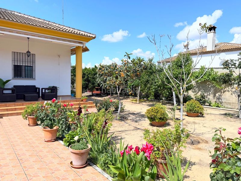 Foto 99302edd-ca67-4022-bcd8-4aa625c8cd42. Casa amb calefacció aparcament piscina a Hinojos