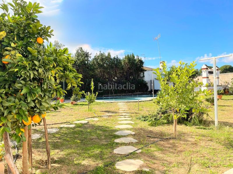 Foto 9a87e7f4-33c2-4af2-a898-b244f88a3e50. Casa amb calefacció aparcament piscina a Hinojos