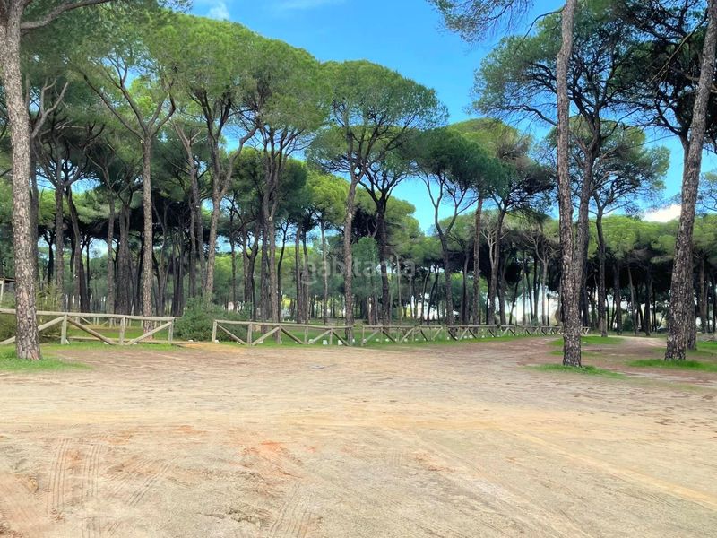Foto a64b9a1a-0b82-4daf-9fca-6694f8e29dad. Casa amb calefacció aparcament piscina a Hinojos