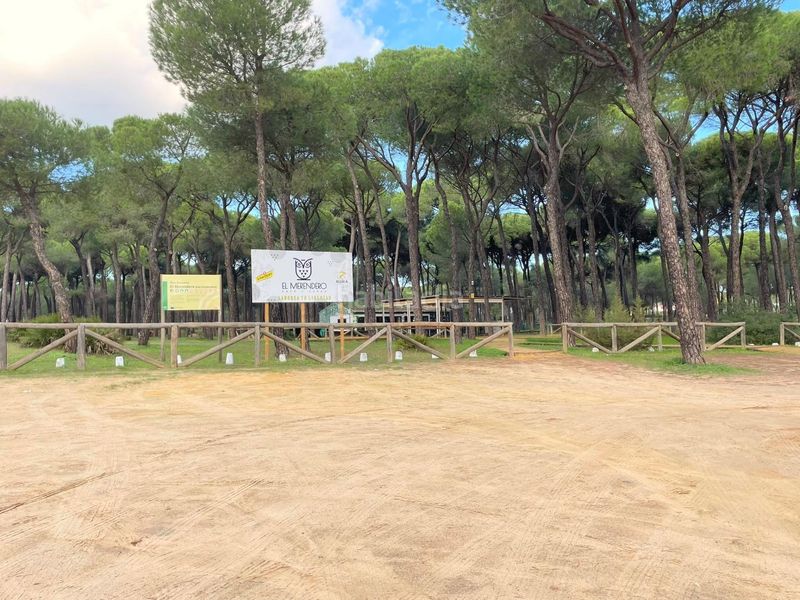 Foto ee4066e6-4d68-4334-b34a-9d4e9a342469. Casa amb calefacció aparcament piscina a Hinojos