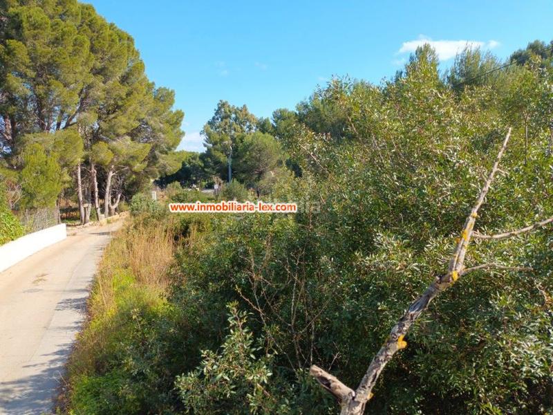 Foto 563b12d7-fa8e-44aa-a682-45b06d6498b9. Terreno residencial parcela en venta en rotas. en Dénia