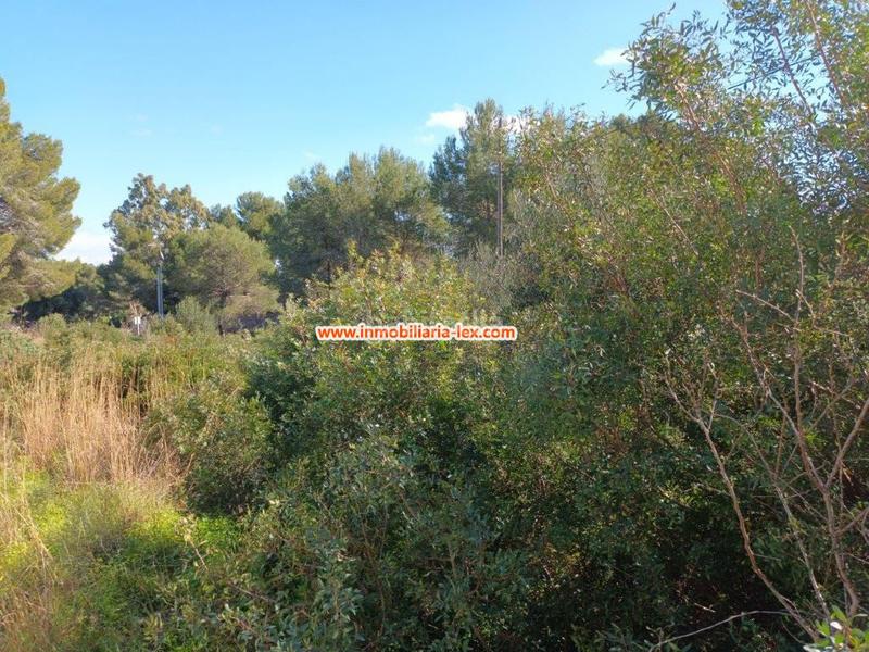 Foto 979816c3-21d4-43e7-b1b3-127203f6b65b. Terreno residencial parcela en venta en rotas. en Dénia