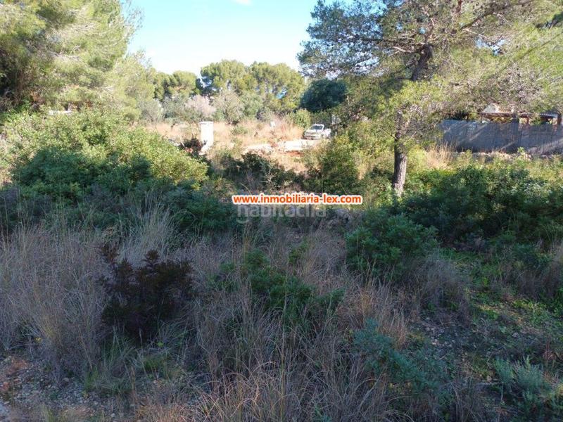 Foto c3571e30-fae0-4645-985e-a6e70c1e5374. Terreno residencial parcela en venta en rotas. en Dénia