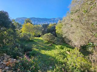 Terreny residencial  Corral de calafat. Parcela en venta en montgo  galeretesbelems.