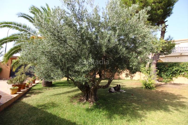 Foto 7f48eea4-82f0-4b22-a944-e1acd9b29967. Chalet with parking pool in Zona Carrefour - Urbanizaciones Torrevieja