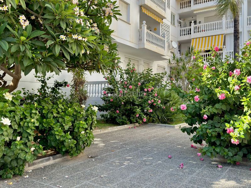 Foto 83e6aca3-66a3-4cd1-8ac5-e6358ffa369b. Apartament a bikini 14 a Almuñecar centro Almuñécar