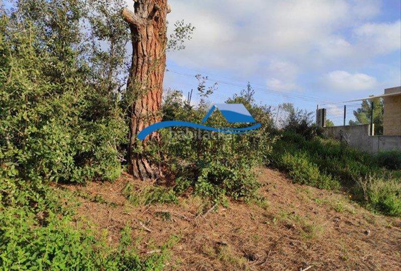 Foto 2120f970-6fc3-4c8e-b76b-d93d9cf8237f. Terreno residencial solar en venta en la Montgoda. en Lloret de Mar