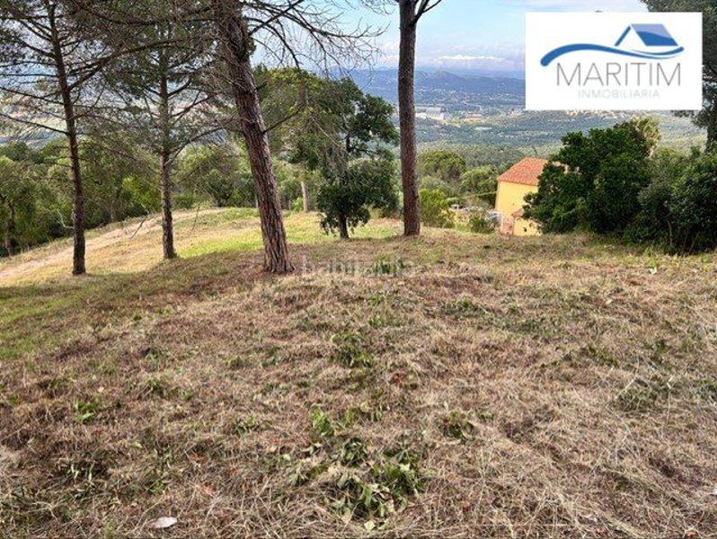 Foto 3d280512-139e-4bb5-b6ee-b4aa39bbae2a. Terrain résidentiel dans colom 1 dans Palafolls