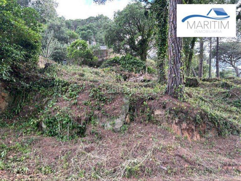 Foto 624e8af4-2130-4b8b-be95-5a17d31f5740. Terrain résidentiel dans colom 1 dans Palafolls