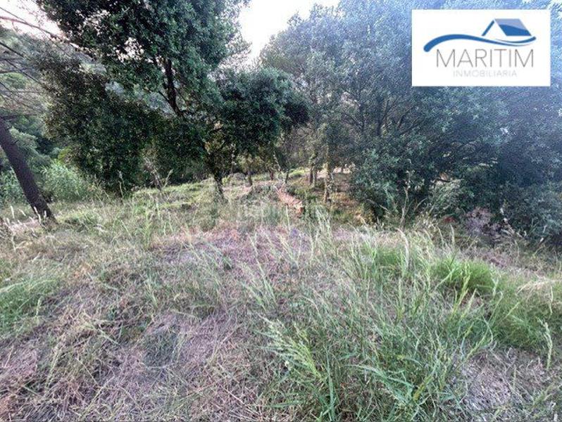 Foto d8c978e8-4be7-49b5-9552-998e08fcda08. Terrain résidentiel dans colom 1 dans Palafolls