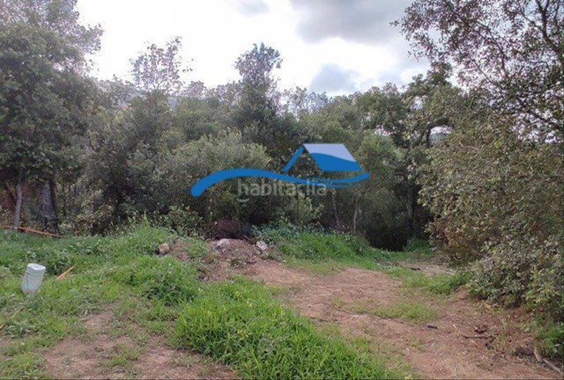 Foto 51a91f95-d336-4d0b-9de1-ac7aaf8641d9. Terrain résidentiel dans les flors 1 dans Palafolls