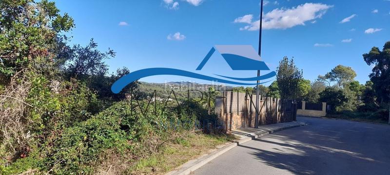 Foto 0ca3ed97-2188-4163-a5b2-46dbdba781a2. Terreny residencial a clavell 1 a Palafolls