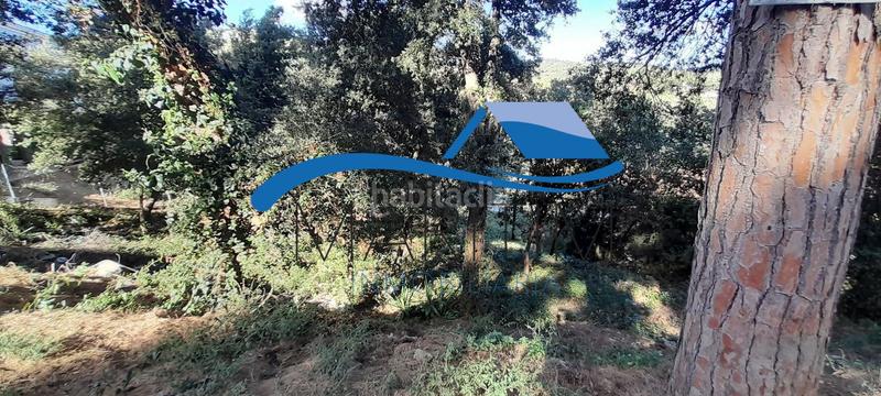 Foto 213a5c7d-49e1-446e-9487-76abc0f0510f. Terreny residencial a clavell 1 a Palafolls