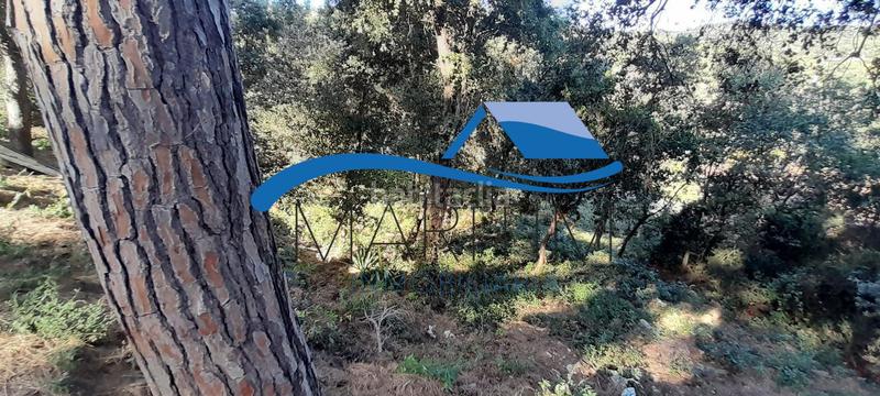 Foto eea61c51-b4c2-4141-952d-0d69f9c7ff9c. Terreny residencial a clavell 1 a Palafolls