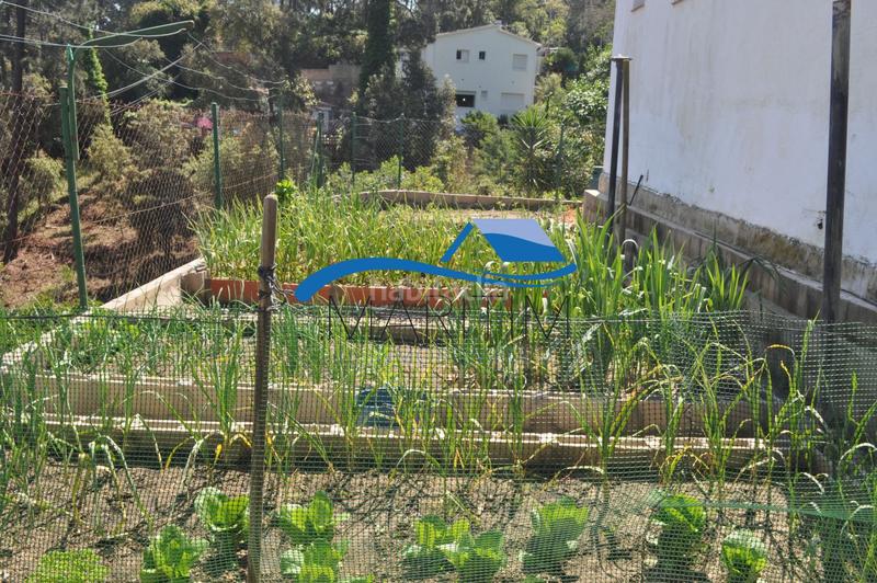 Foto 18c19f7b-930e-48fc-8502-bed4aa5367b9. Casa  en venta en lloret blau, 4 dormitorios. en Lloret de Mar
