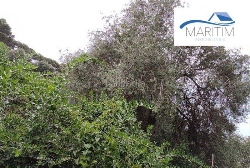 Foto 26a010fc-9592-49f1-b855-4f6ea9e5f573. Wohngrundstück in mirador de la cala 1 in Santa Cristina-Sant Francesc Blanes