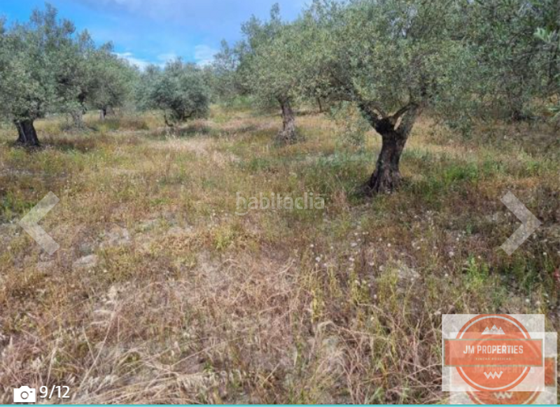 Foto 5e48982c-b2a0-4847-981d-81d6f38ace4b. Bauernhof in Guaro