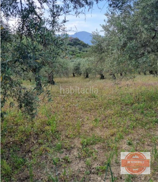 Foto d14c711f-2e86-4e2d-b4c4-d413a37cf75b. Bauernhof in Guaro