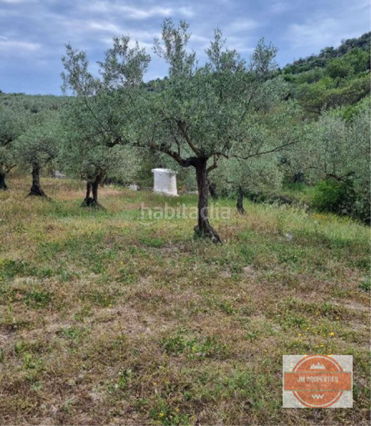 Foto 8b84983f-cde0-4d71-a546-4c1ead58a0aa. Country house in Guaro