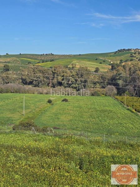 Foto 2c52f13f-d556-4b92-9c57-d29e8a7b8058. Mas avec parking dans Coín